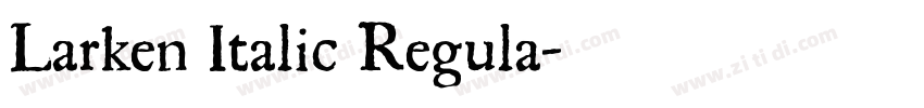 Larken Italic Regula字体转换